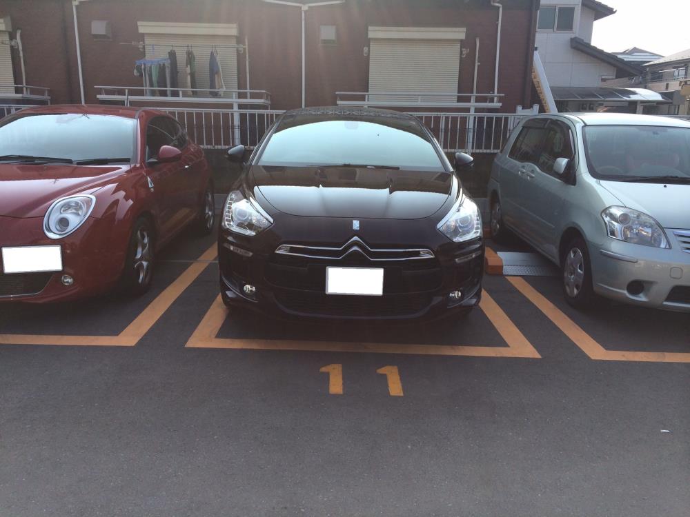 IMG_0565 - コピー.JPG